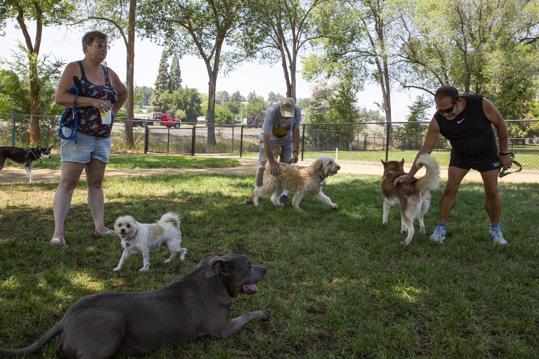 Kit Carson Dog Park